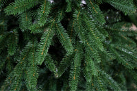 Albero di Natale Orione 150 cm