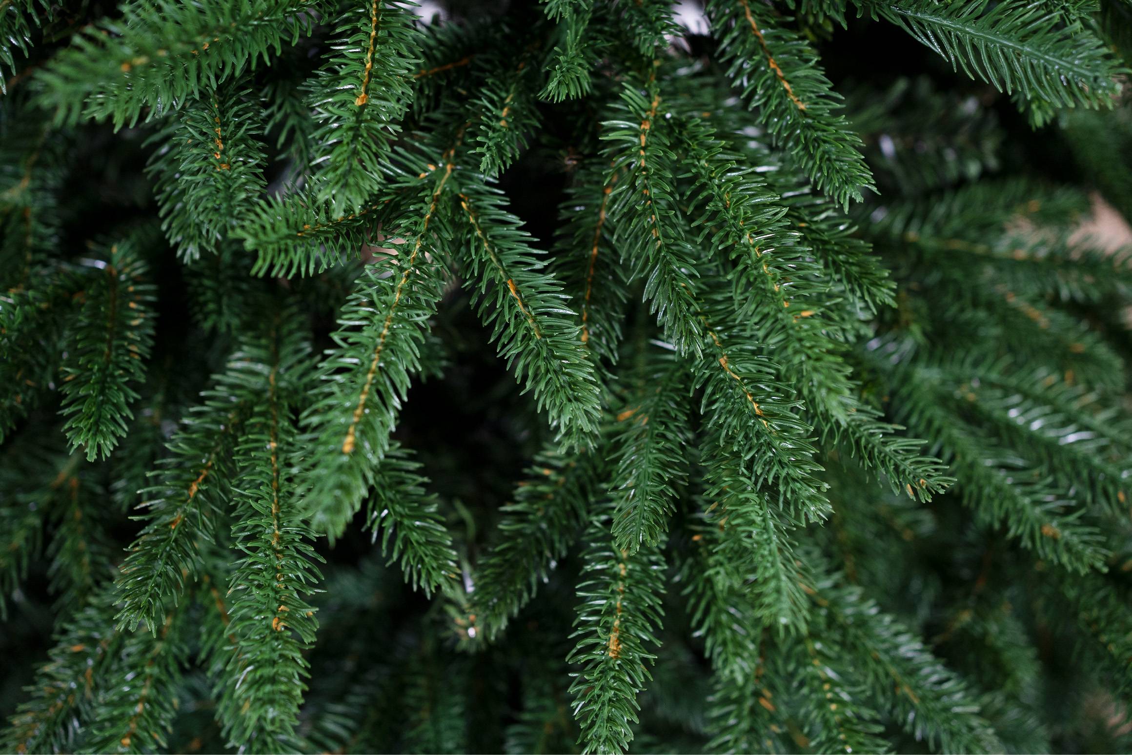 Albero di Natale Orione 240 cm