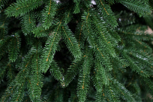 Albero di Natale Orione 210 cm