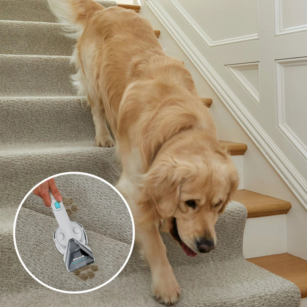 Shark Smacchiatore portatile StainStriker PX200EUT