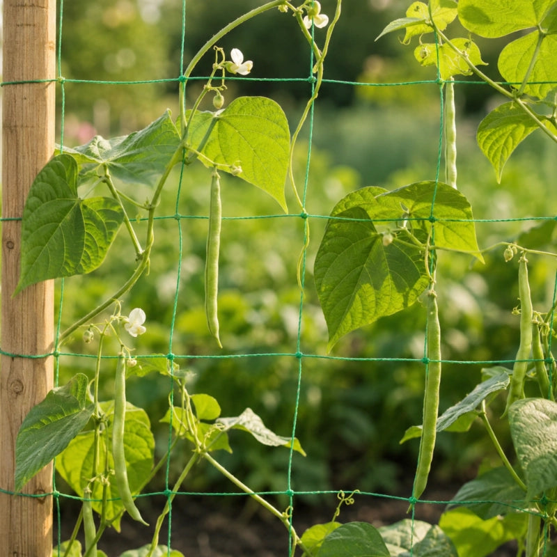 Rete KADAX per piante orticole, pomodori, cetrioli, supporto per giardino 1,8x2,7 m