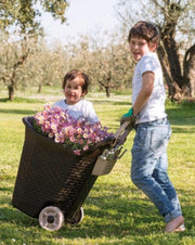 CESTA CARRIOLA TROLLEY CON RUOTE KART BAMA CM. 59X50X72 LT. 76
