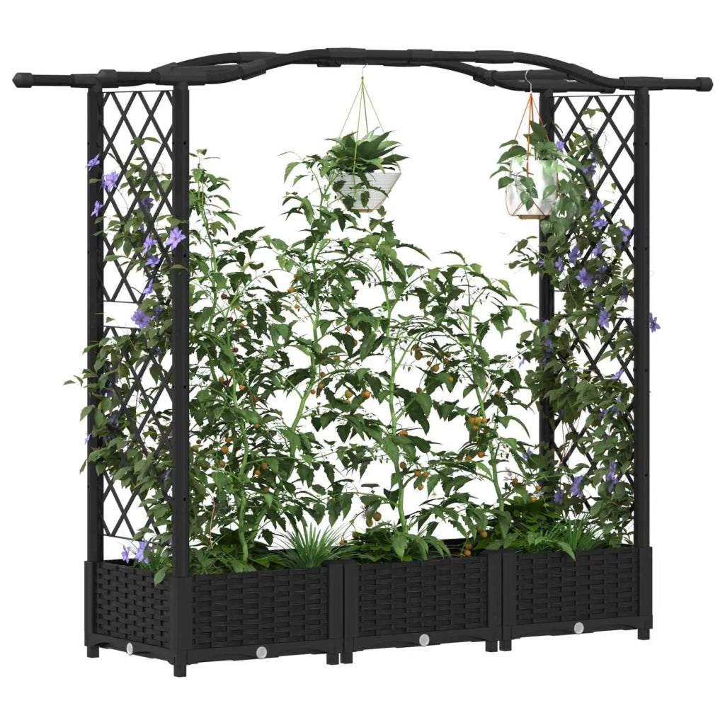 Letto Rialzato con Griglia e Tetto Nero 169 x 40 x 125 cm PP 42032528