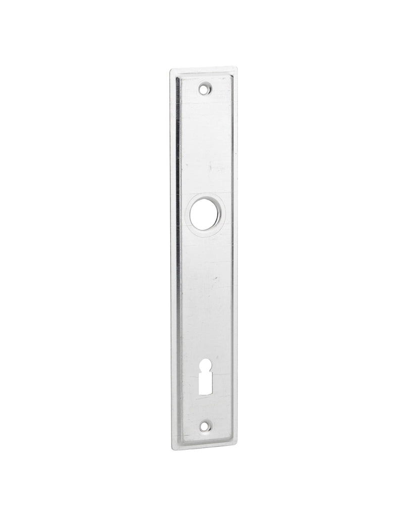 Placca d'ingresso per serratura da incasso con chiave, alluminio - THIRARD