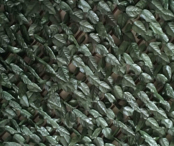 Siepe Sintetica Pesca 100x200 h cm in Polietilene Verde