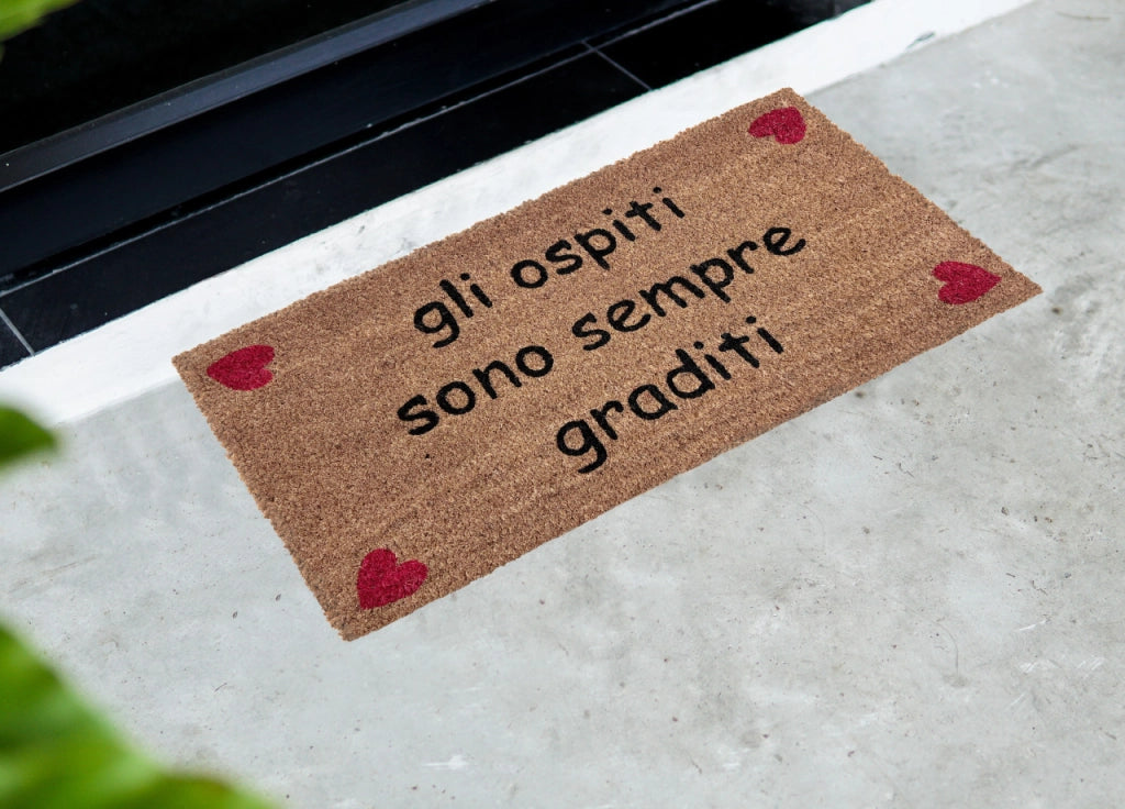 Zerbino Entrata Ingresso Casa Esterno Antiscivolo Cocco Disegno Ospiti Graditi