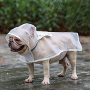Impermeabile per Animali con Cappuccio Regolabile Impermeabile EVA per Cani Piccoli e Medi M