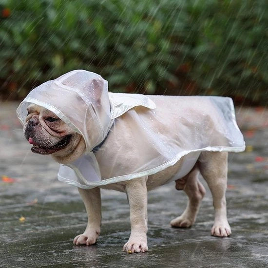 Impermeabile per Animali con Cappuccio Regolabile Impermeabile EVA per Cani Piccoli e Medi M