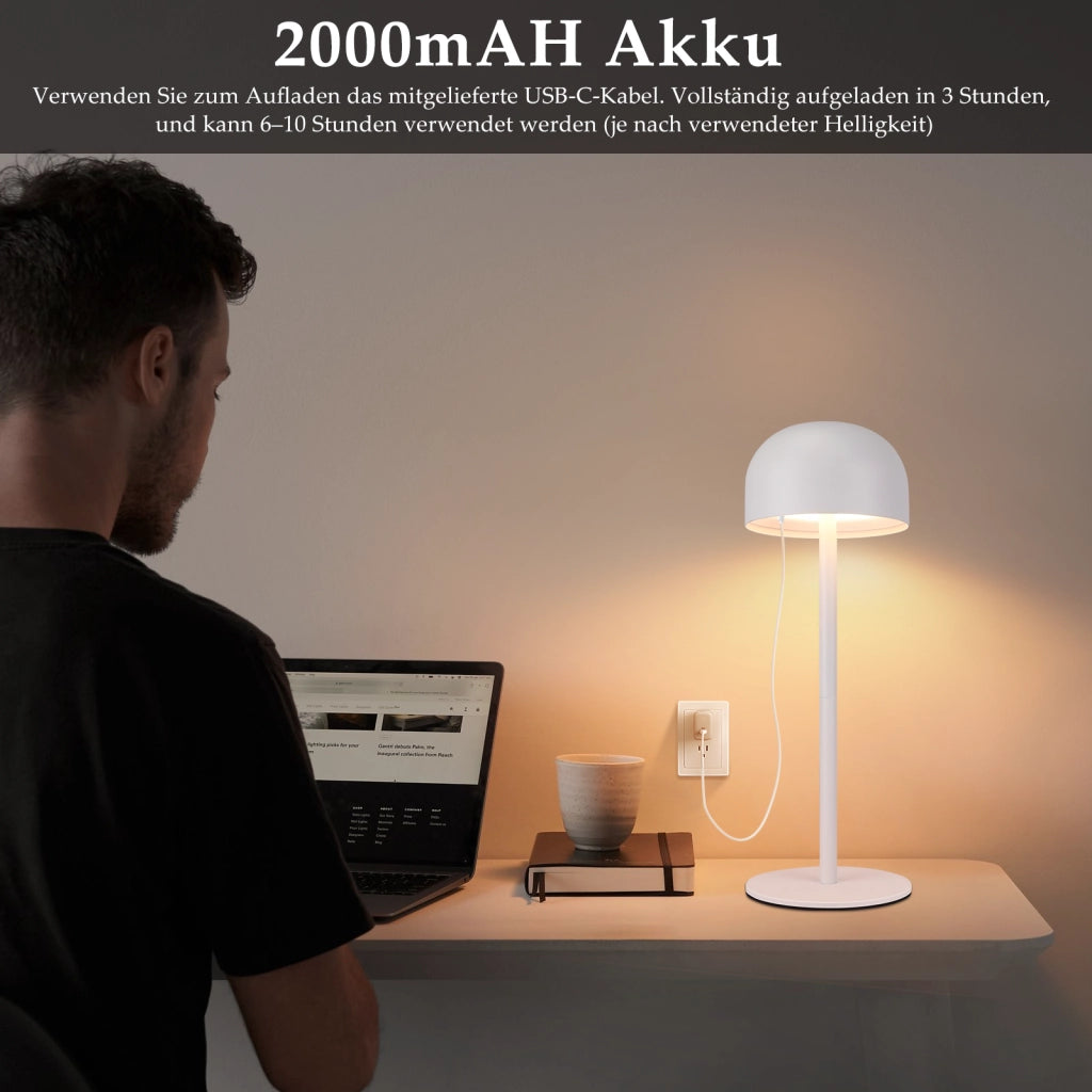 ZMH Lampada da tavolo LED set 2 pezzi wireless dimmerabile 3 temperature per camera letto soggiorno