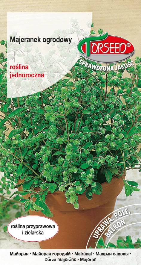 Maggiorana Majorana hortensis 1g
