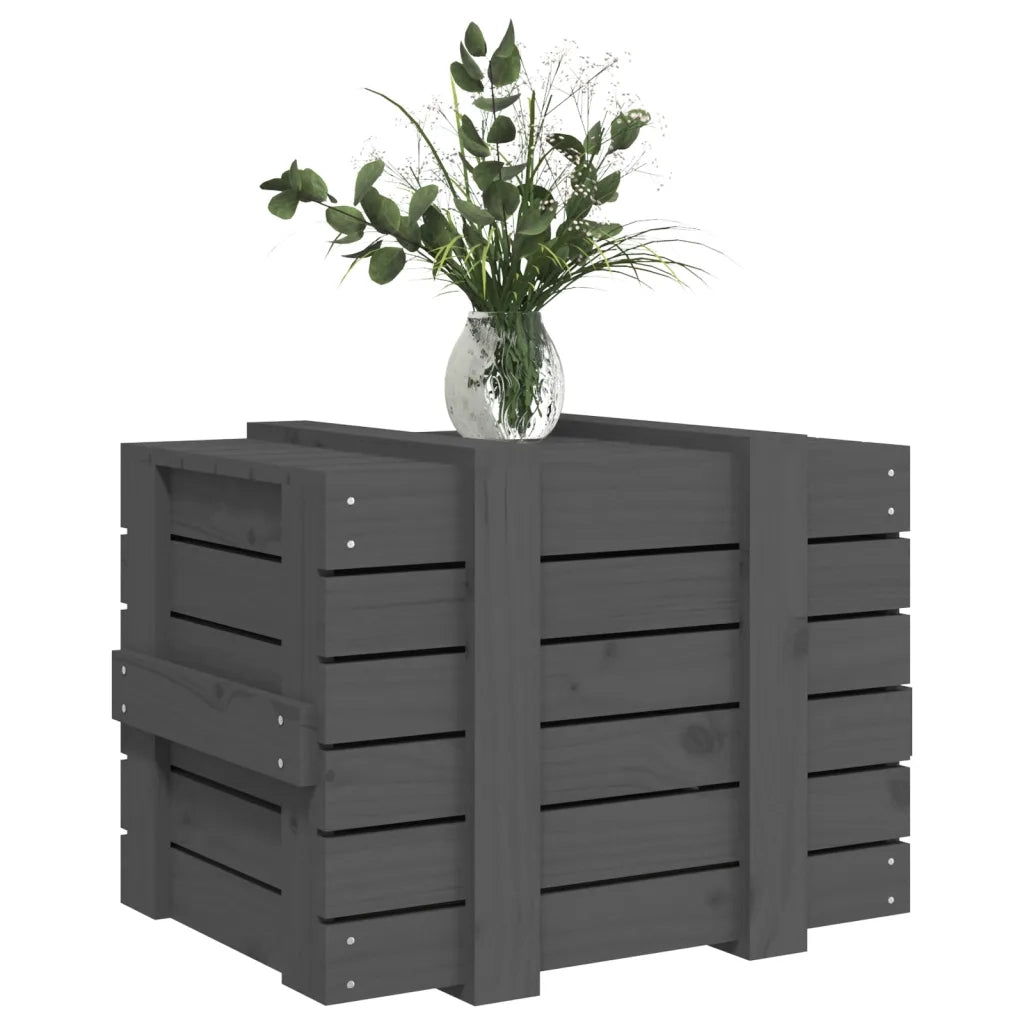 Contenitore Portaoggetti Grigio 58x40,5x42 cm Massello di Pino 824995