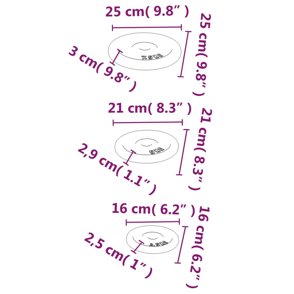 Dischi per Pesi 6 pz 30 kg in Ghisa CFW8023054