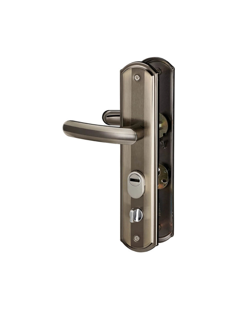 Set maniglia per ingresso, interasse 68 mm, defender integrato, alluminio brunito, destro – THIRARD