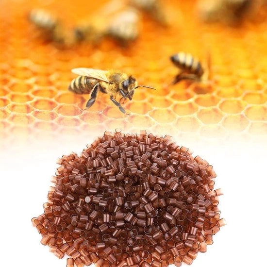 Coltivazione Miele D'api - 1000 UNID Grosse Produzione Ciotoline - Ciotoline Gel Miele - Attrezzatura Apicoltura - Base di Fattorizzazione Plastica - Strumento Apicoltore.