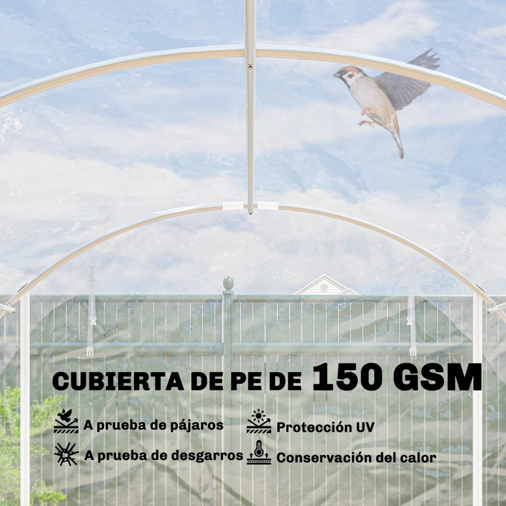 Serra Tunnel 6x3x2 m ¨C zephmum ¨C 2 Porte Avvolgibili Struttura Acciaio Galvanizzato Copertura PE Anti-UV