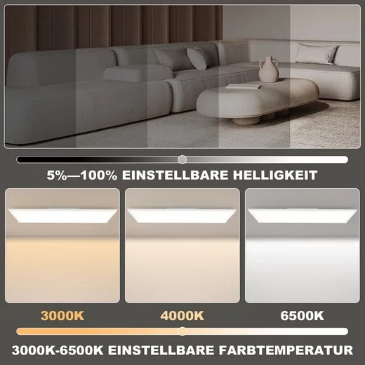 ZMH Lampada da soffitto plafoniera LED dimmerabile pannello lungo RGB per soggiorno cucina festa