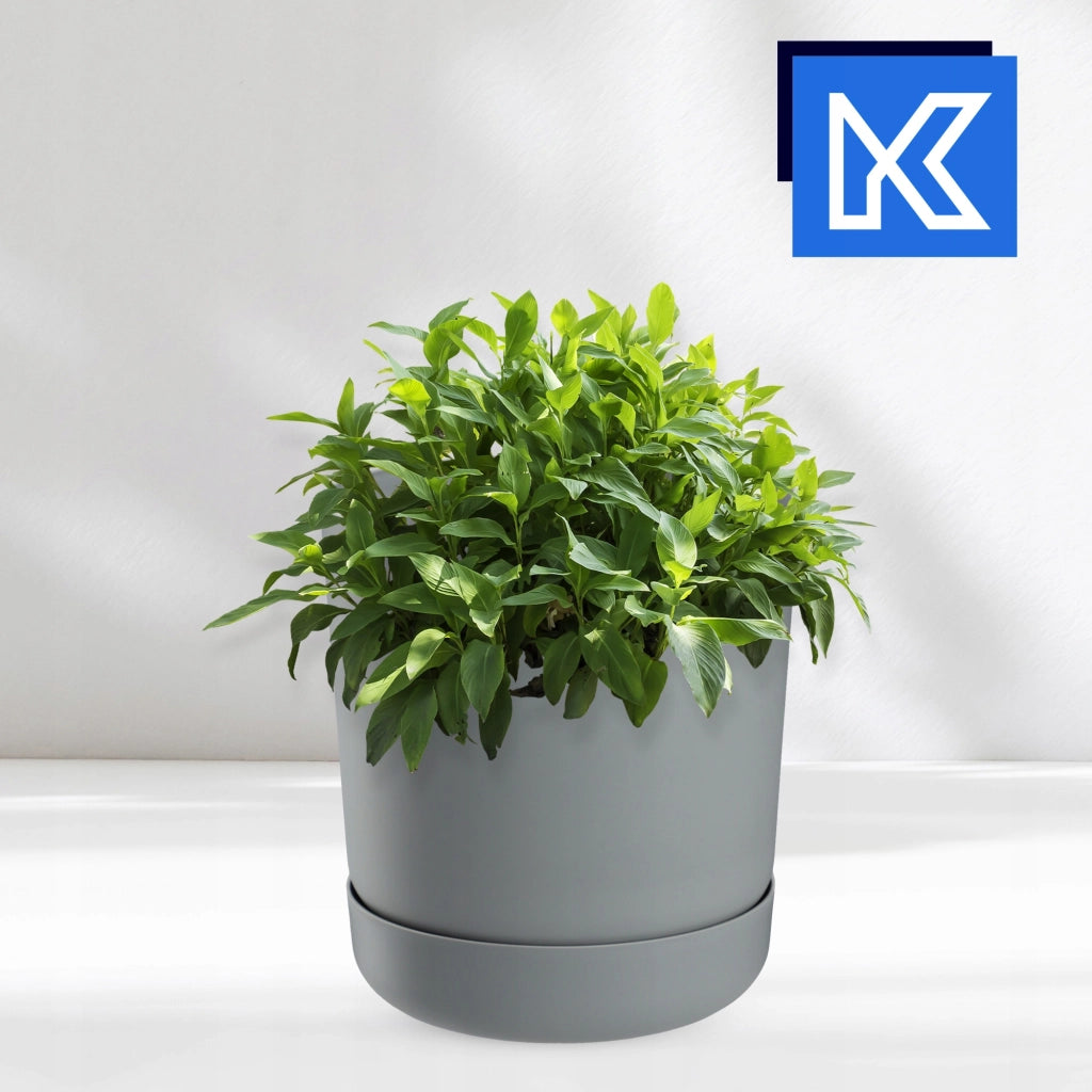 Vaso da fiori KADAX con supporto, coperchio, ciotola rotonda, 20 cm, grigio opaco