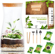 Set ecosistema in vetro - creazione biotopo - 1 pezzo