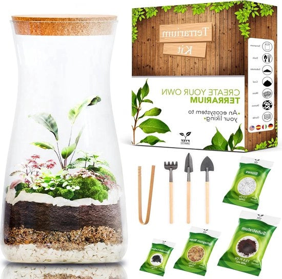 Set ecosistema in vetro - creazione biotopo - 1 pezzo