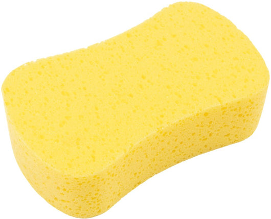 Spugna auto modello anatomico