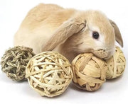 Set di 9 giocattoli masticanti per conigli - Giocattoli per piccoli animali: palline masticanti di erba e giocattoli rotolanti per conigli, hamster, cavi, chinchi, scoiattoli, ratti e topi