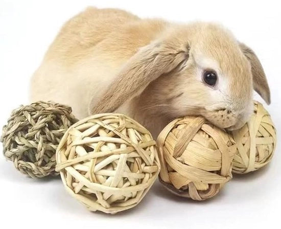 Set di 9 giocattoli masticanti per conigli - Giocattoli per piccoli animali: palline masticanti di erba e giocattoli rotolanti per conigli, hamster, cavi, chinchi, scoiattoli, ratti e topi