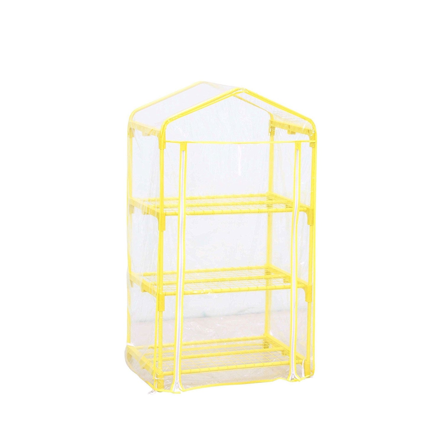 AZALEA COLORE GIALLO