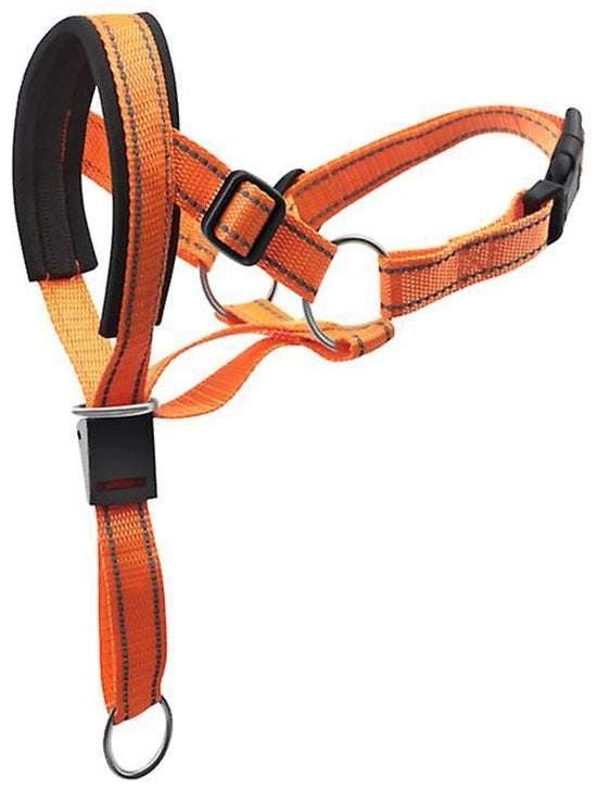 Collare per cani adattabile - Halter - Nylon - Comodo - Chiusura rapida - Adatto per cani di taglia media/grande - Attrezzo per cani 

Specifica tecnica: 
- Materiale: Nylon 
- Modello: (inserire modello) 
- Codice prodotto: (inserire codice prodotto)