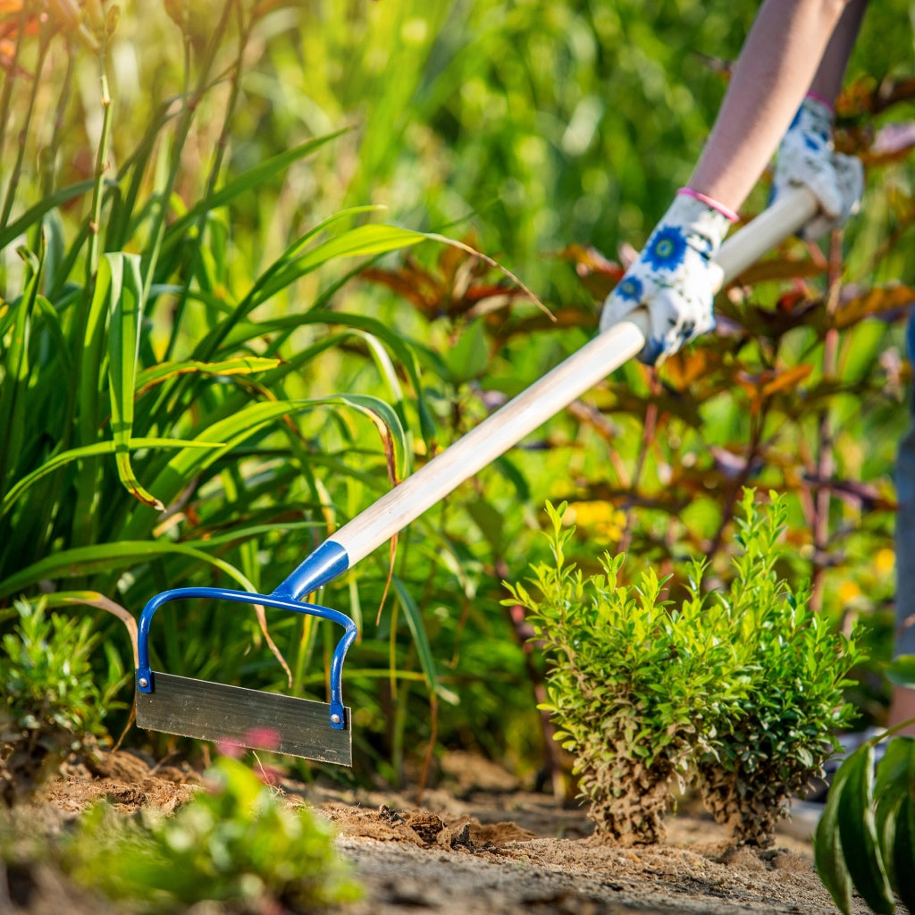 Zappa da giardino KADAX con gancio, 18 cm, per estirpare le erbacce, con manico in legno.