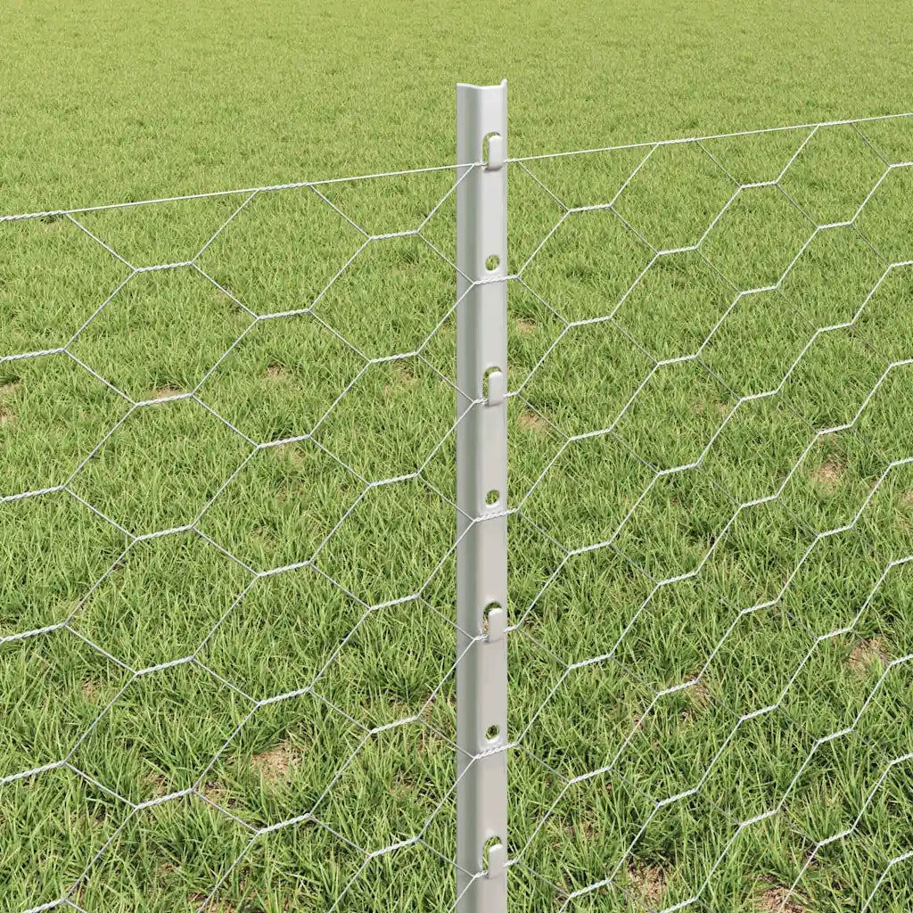 Recinzione da Giardino | Recinzione con Posto Argento