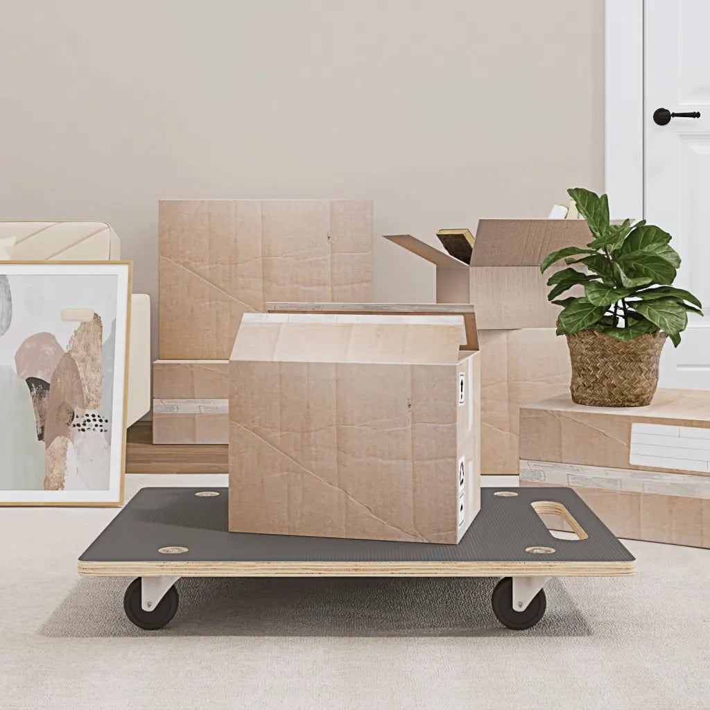 Pedane di Trasporto 2 pz Rettangolari 80x55x11,5 cm 250 kg