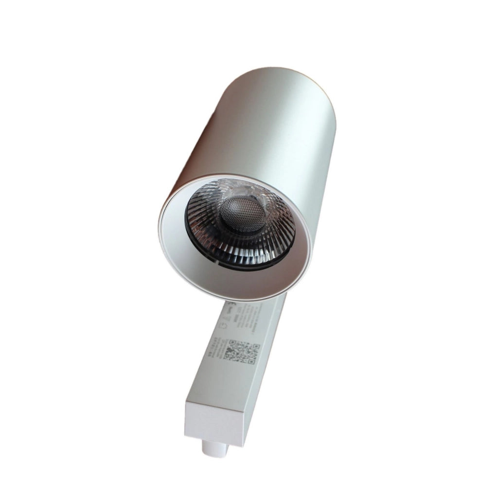 2 Pezzi Faro Bianco Mono Fase 30W 4000K