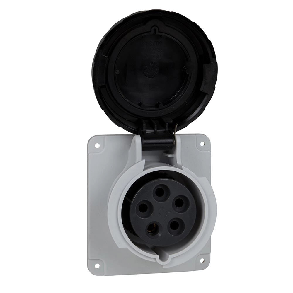Presa da incasso diritta IP67 32A 500V 3PNT Schneider