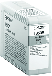 Epson Singlepack Light Light Black T850900