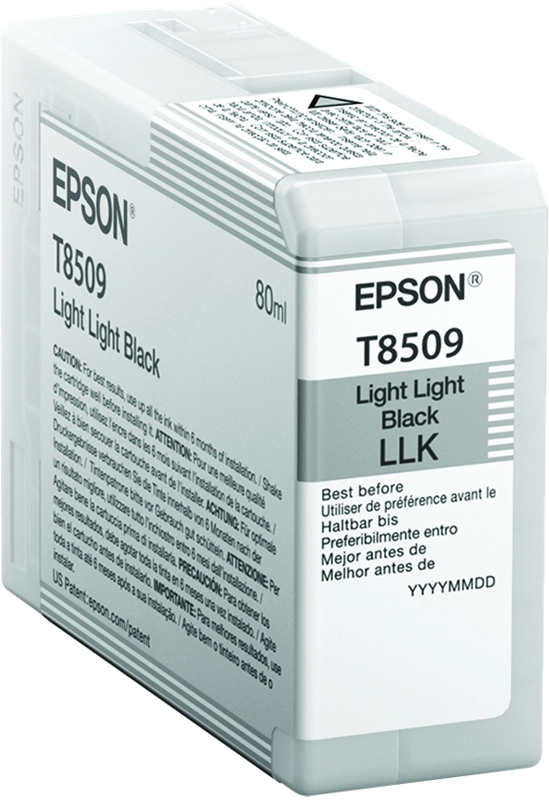 Epson Singlepack Light Light Black T850900