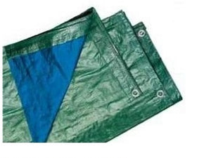 TELONE OCCHIELL. GR.150 MEDIO MT. 5X8 BLU/VERDE