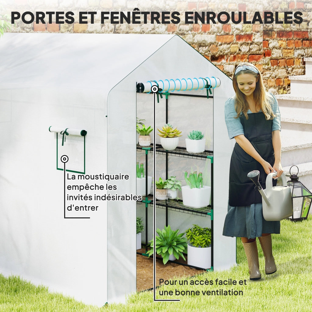 Serra da Giardino 3 m2 ¨C Zephmum ¨C 3 Ripiani, PE 135 g/m2, Porta a Rullo