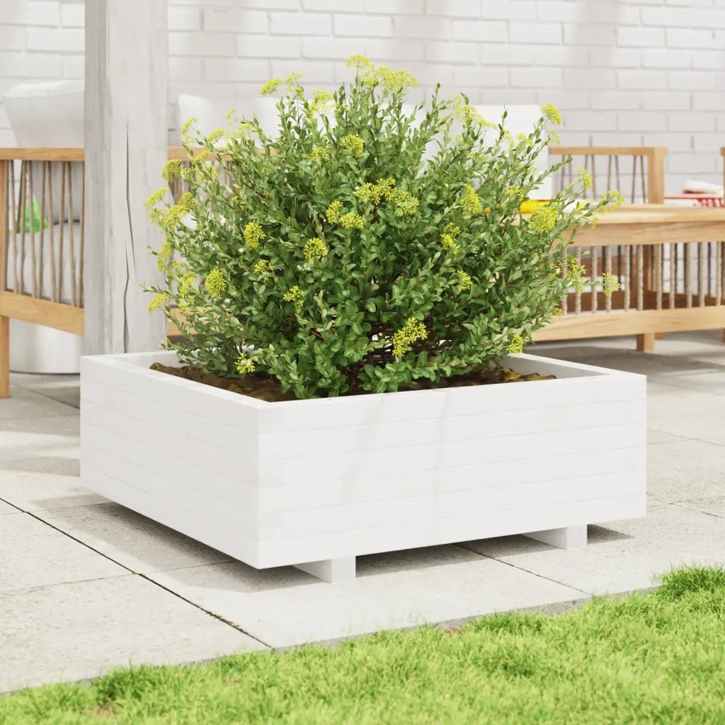 Fioriera da Giardino-Vaso da Esterno Bianca 70x70x26,5cm Legno Massello di Pino