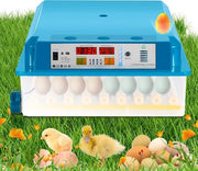 Macchina per la cottura delle uova con rotazione automatica per 64 uova, adatta per uso domestico e agricolo