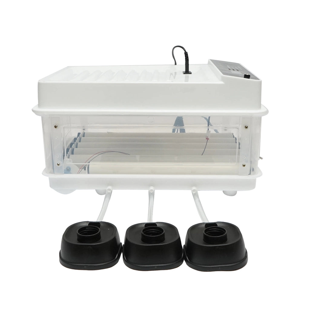 Incubatrice automatica 30 uova 50W, 12V-220V con rotazione automatica, controllo temperatura e umidità, display digitale