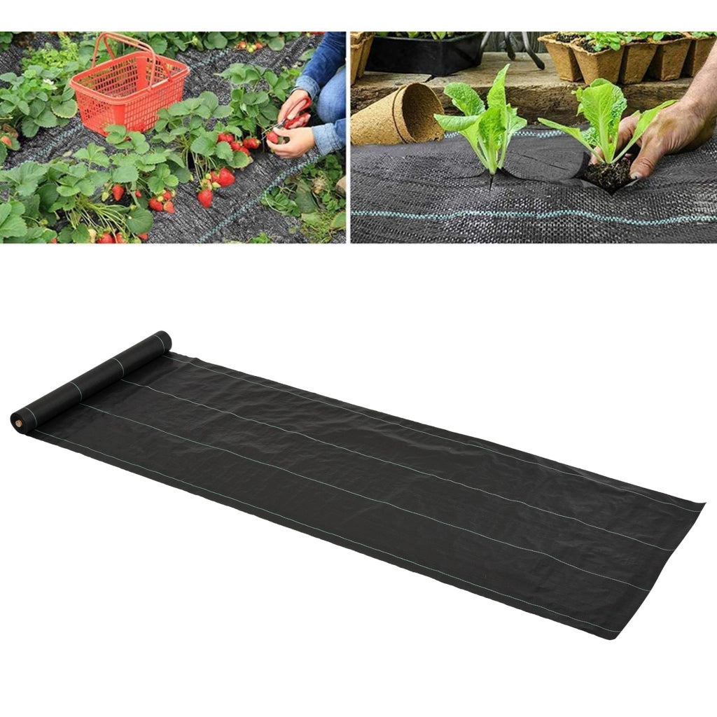 Tessuto Non Tessuto Antialga 1x50 m ¨C zephmum ¨C Nero 100 g/m2