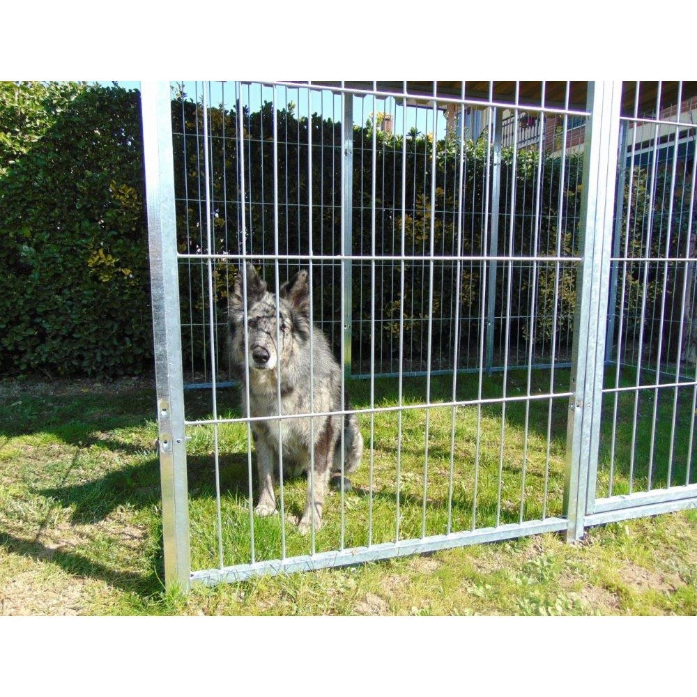 Recinto per cani 3x2 metri con copertura box modulare viteria compresa