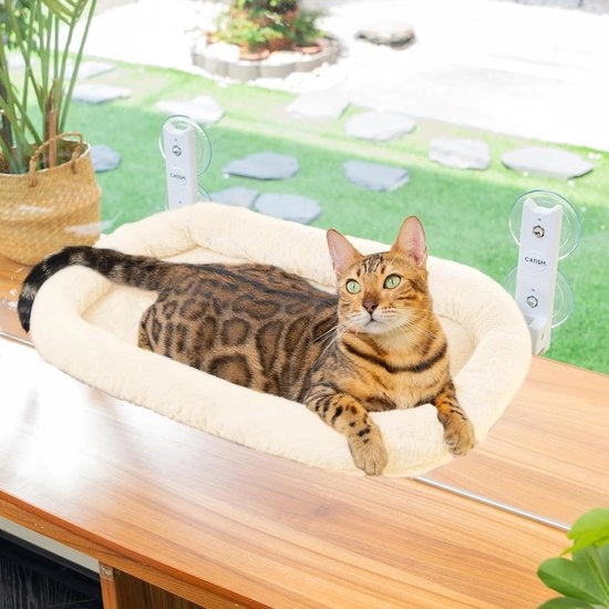 Porta gatto pieghevole - Cuscino per gatti - 1 pezzo - Beige - Rafforzato
