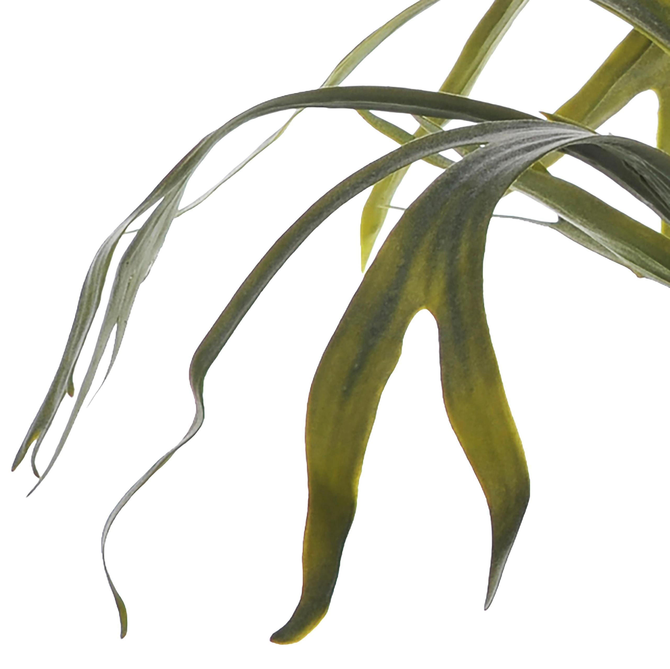 Platicerium Artificiale in Vaso con 8 Foglie Altezza 62 cm Verde