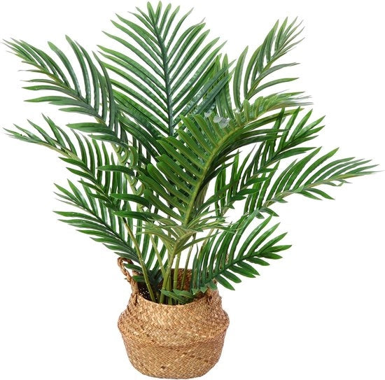 Pianta di plastica per decorazione, alta 60 cm, imitazione di palma artificiale, falso, singolo pezzo.