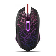 Mouse Esperanza EGM211R destro USB Tipo-A Ottico 2400 DPI