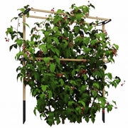 Griglia per piante rampicanti in metallo ¨C zephmum ¨C 119x34x139 cm