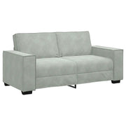 Divano | Divano da soggiorno | Sofa a 2 Posti Grigio Chiaro 180x78x84 cm in Velluto