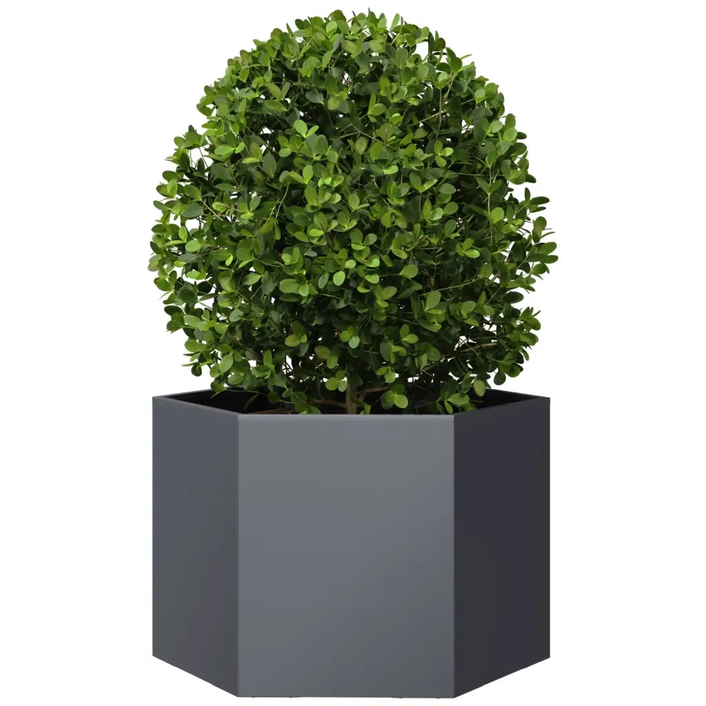 Fioriera da Giardino Antracite Esagono 69x60x45 cm in Acciaio 851124