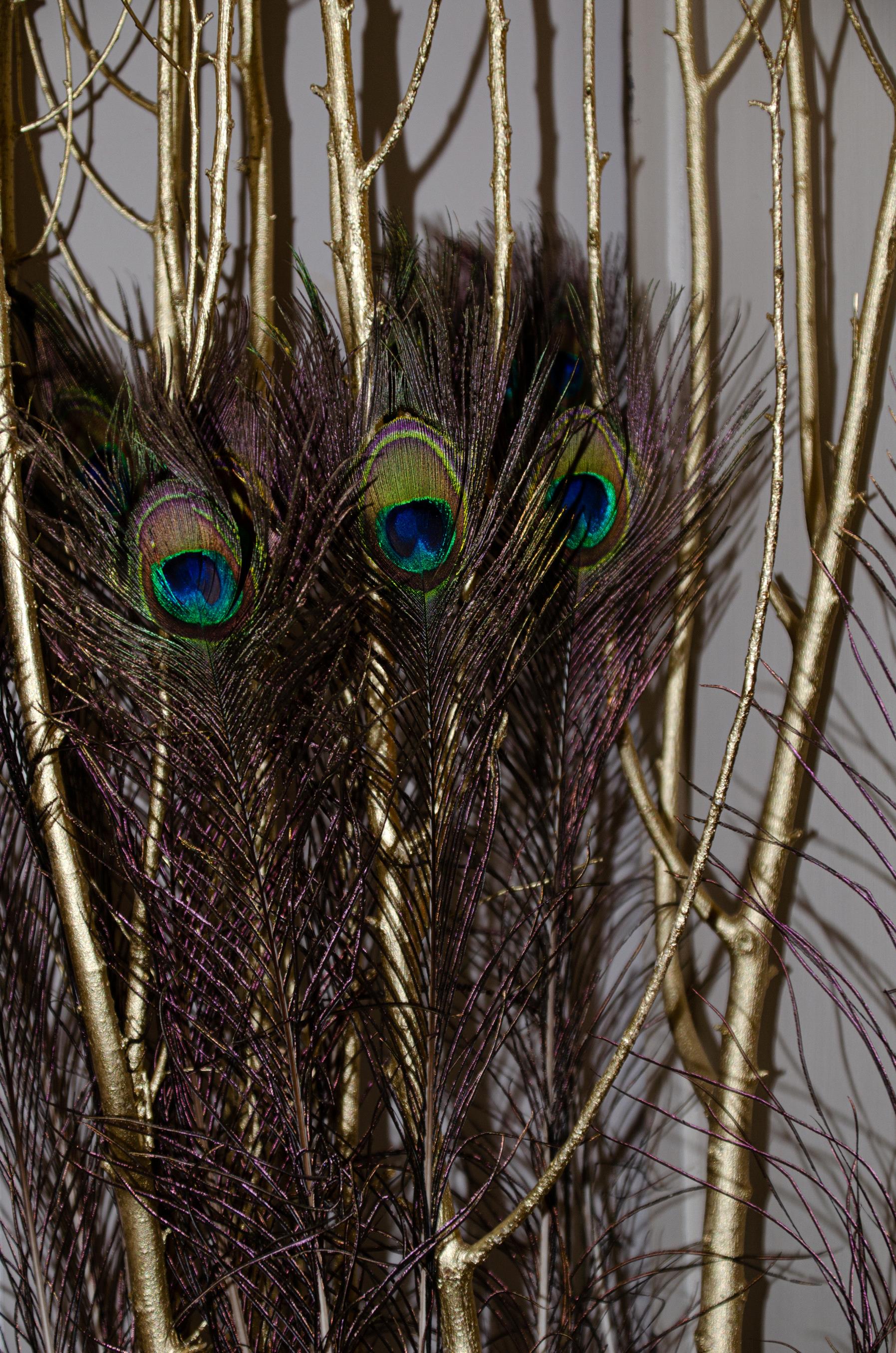 Set 25 Piume Pavone H 75 90 cm